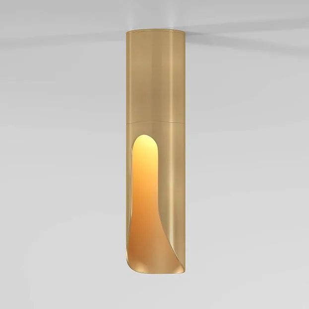 потолочный акцентный светильник Elektrostandard 25113/LED Apex a068291