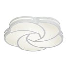 Потолочный светильник Escada 10209/1LED