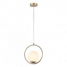 Подвесной светильник F-Promo 2786-1P Oportet