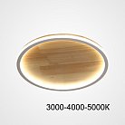 Потолочный светильник DOLAN D40 Трехцветный свет ImperiumLoft 223953-23 dolan01