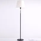 Торшер ILLUMICO IL2218-1FLS-24