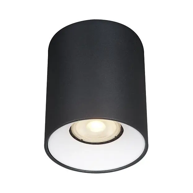 Светильник потолочный ST-Luce ST167.452.01 Светильник потолочный ST-Luce ST167.452.01
