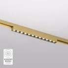 Светильник для трека Denkirs DK5771-SB SHINE GRILL