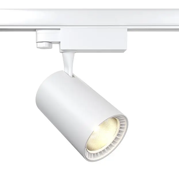 Трековый светильник Maytoni TR029-3-30W3K-W Vuoro