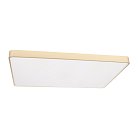 Потолочные светильники Loft It 10228/E Flims
