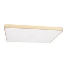Потолочные светильники Loft It 10228/E Flims