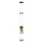 Подвесной светильник Loft IT 10121/2P Dark grey Jardin