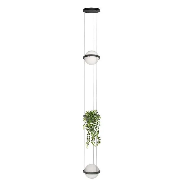 Подвесной светильник Loft IT 10121/2P Dark grey Jardin