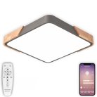 Потолочный светодиодный светильник Natali Kovaltseva LED LAMPS 81412 LED Lamps