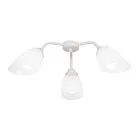 Потолочная люстра Vitaluce V31950/3PL