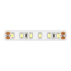 Светодиодная лента 9,6W 4000K 1 008Lm 24V ST Luce ST1001.410.20