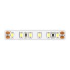 Светодиодная лента 9,6W 4000K 1 008Lm 24V ST Luce ST1001.410.20
