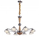 Подвесная люстра Lucia Tucci Natura 067.8 LED