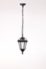 Уличный светильник подвесной Oasis Light 95205S Bl