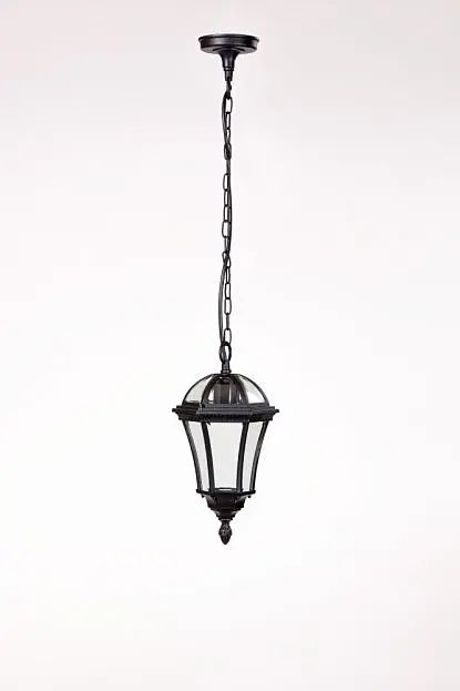 Уличный светильник подвесной Oasis Light 95205S Bl