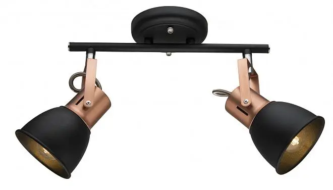 Спот Arte Lamp A1677PL-2BK Спот Arte Lamp A1677PL-2BK