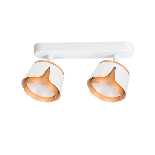 Спот Arte Lamp A8028PL-2WH AMAKS