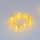 Светодиодная гирлянда Arlight 048703