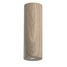 Потолочный светильник DeMarkt 712010501 Иланг