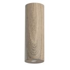 Потолочный светильник DeMarkt 712010501 Иланг