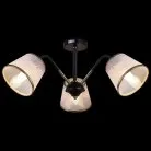 Потолочная люстра ILLUMICO IL0344-3CSQ-79 BK AB