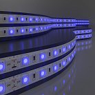 Светодиодная лента Elektrostandard 5050 24V 60Led 14,4W IP20 синий a052975