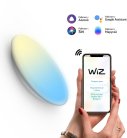Настенно-потолочный светильник Gauss 2050112 SmartHome