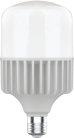 Лампа Gauss 63438 T140 80W 6400lm 6500K E40 LED
