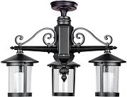 Потолочный светильник уличный Oasis Light 18270A/3 Bl CORDOBA