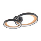 Потолочный светильник Escada 10265/2LED