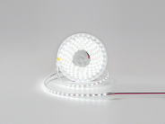 Светодиодная лента 12V IP65 холодное свечение SWG DSG360-12-W-65 