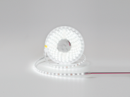 Светодиодная лента 12V IP65 холодное свечение SWG DSG360-12-W-65 
