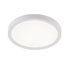 Потолочный светильник Natali Kovaltseva LED LAMPS 81113/1C PLAIN