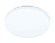 Потолочный светодиодный светильник Ambrella light FZ1006