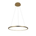 Подвесной светильник Loft IT 10014M Ring