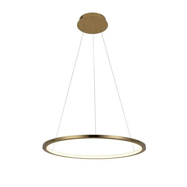 Подвесной светильник Loft IT 10014M Ring