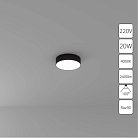 Потолочный светильник Arte Lamp A6620PL-1BK FADO