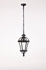 Уличный светильник подвесной Oasis Light 95205L Bl