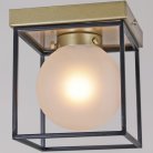 Потолочный светильник ILLUMICO IL0050-1C-79