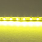Лента цветного свечения 24V, лимонный Lightstar 420519