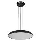 Подвесной светильник Loft IT 10371P Black Dime