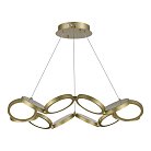 Светильник подвесной ST-Luce SL6508.203.01 RIO