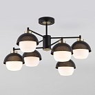 Потолочная люстра Eurosvet 70106/6 черный Nocciola a044934