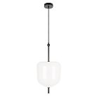 Подвесной светодиодный светильник Loft IT 10223/D White Venice