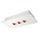 Потолочный светильник Loft IT OL1072-WG/3 Architect