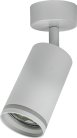 Спот Brizzi BR08077 Aras