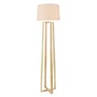 Торшер Freya FR5134-FL-01-BG Nubi
