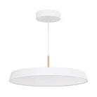 Светильник подвесной Arlight 033925(1)