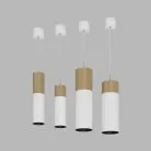 Подвесной (накладной) светодиодный светильник Ledron SLC7392/12W-PB White-Black