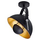 Потолочный светильник Lussole GRLSP-9825 SHERRELWOOD